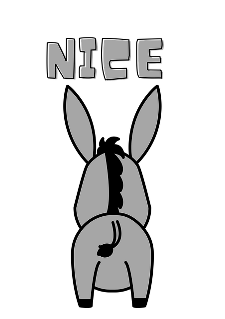 Free Donkey Funny illustration and picture