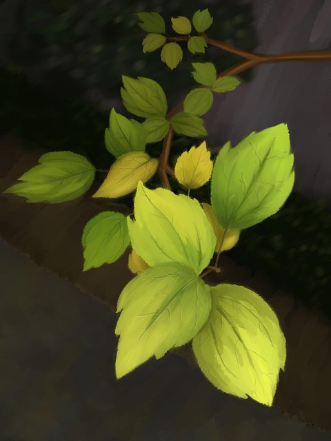 Frunze, Frunziş, Plante, Frunze Galbene