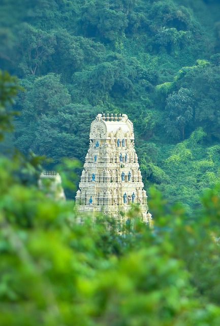 Têmpora, Floresta, Visakhapatnam