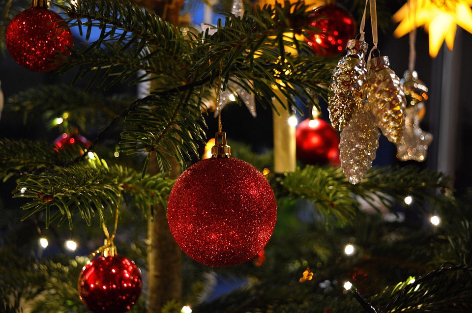 Christmas big brother nude