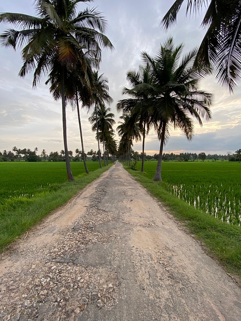 Paisaje, Naturaleza, Campo, Pueblo