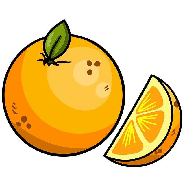 Free fruit orange citrus illustration