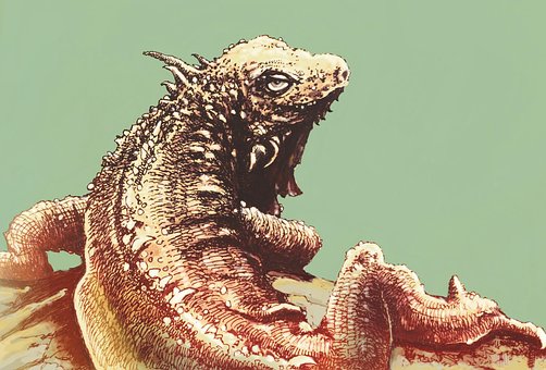 Free Varan Lizard illustration and picture