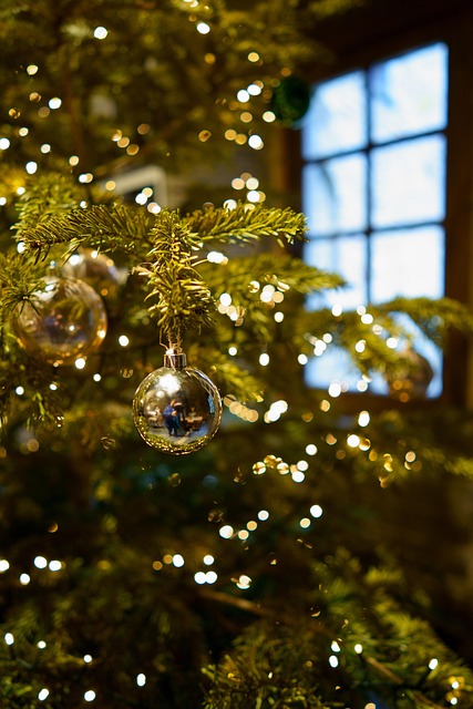 Free Christmas Interior photo and picture