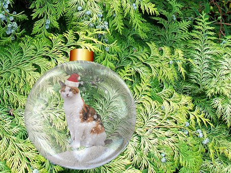 Free Christmas Bauble photo and picture