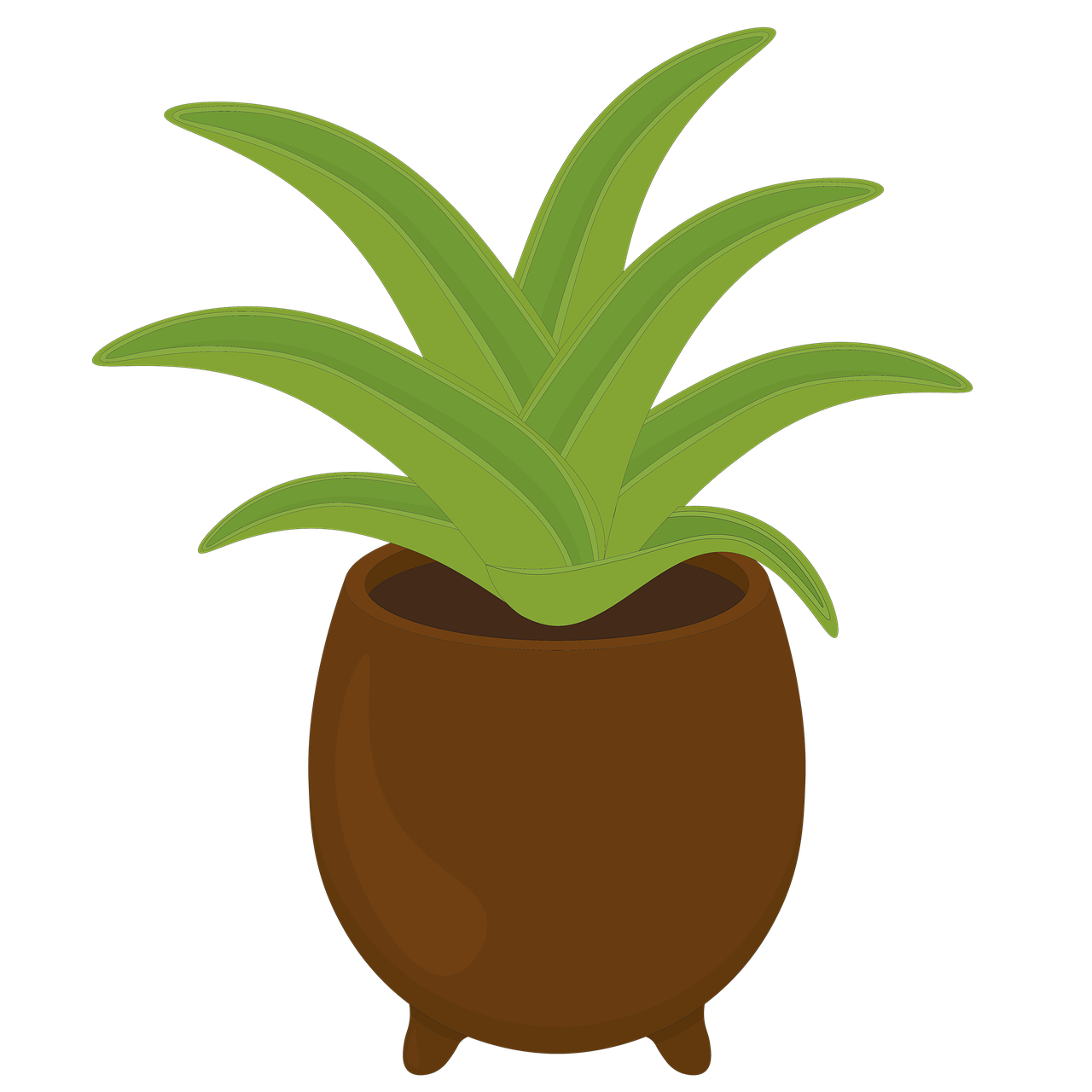 Houseplant Ceramics Succulent Free Image On Pixabay houseplant-ceramics-succulent-free-image-on-pixabay