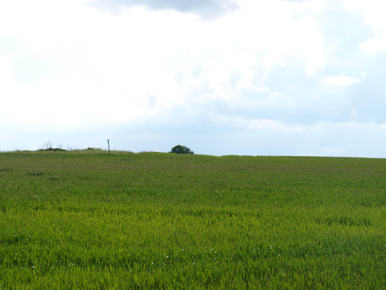 Vert Prairie La Nature - Photo gratuite sur Pixabay - Pixabay