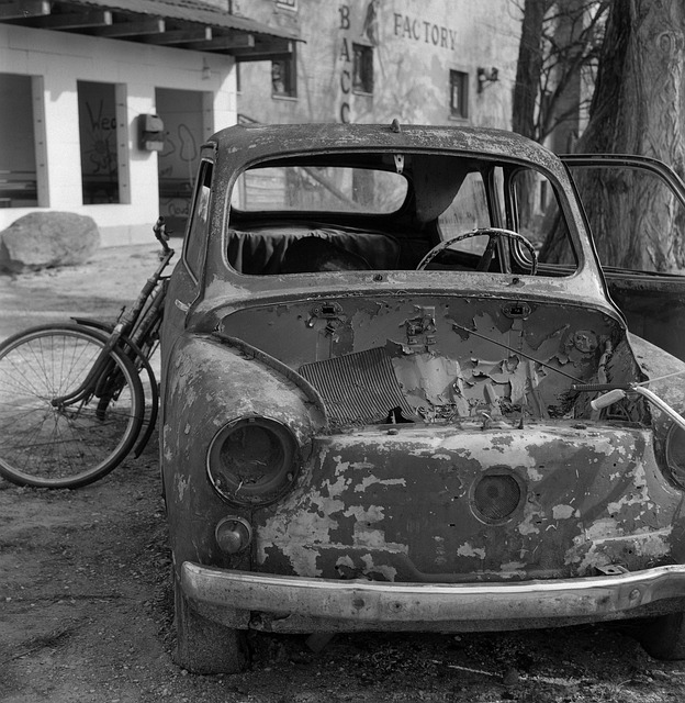 Free Car Veteran photo and picture