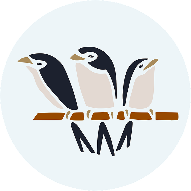 Păsări, Natura, Rândunele, Filiala
