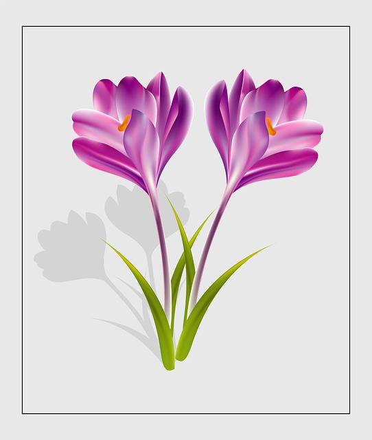 Moderne Blume, Blume