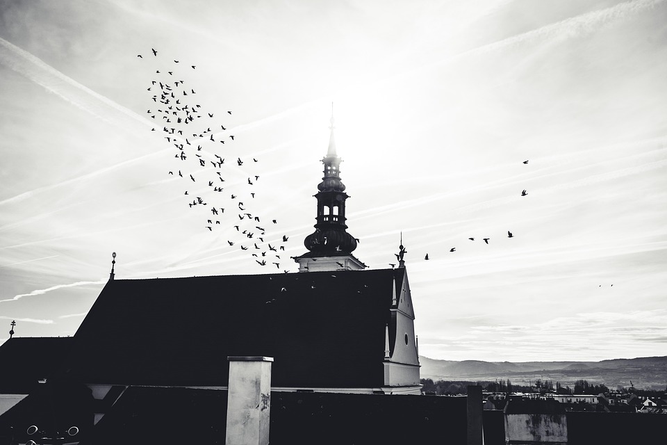 Austrian Student Life: Best Places to Live and Study