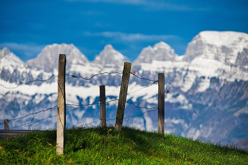 Free Mountains Summit photo and picture