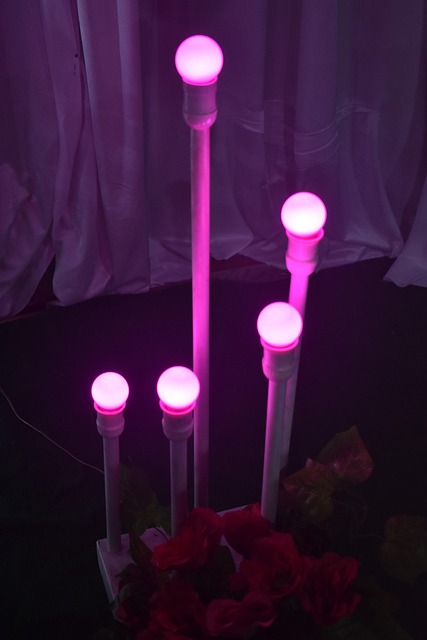 Luz, Decoración, Natal, Bulbo