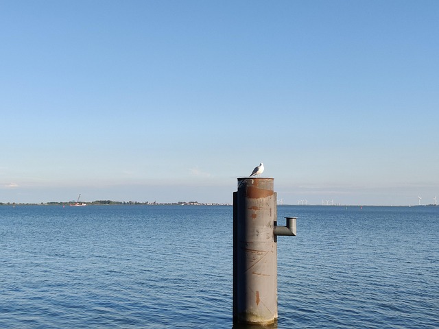 Free Netherlands Lake photo and picture