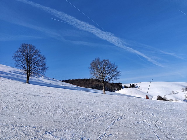 Free Black Forest Ski photo and picture