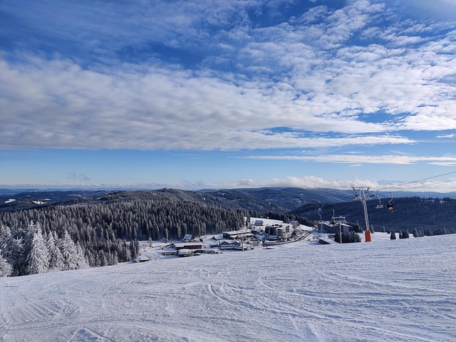 Free Feldberg Black Forest photo and picture