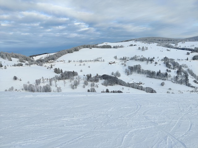 Free Winter Snow photo and picture