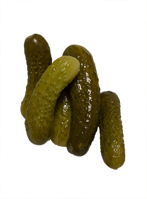 Free Pickle Pickles illustration and picture