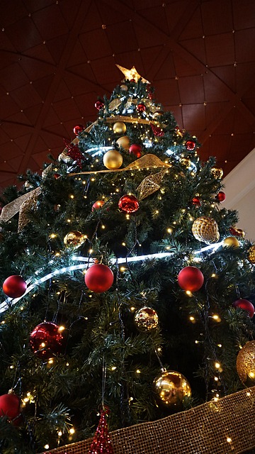 Free Star Christmas photo and picture