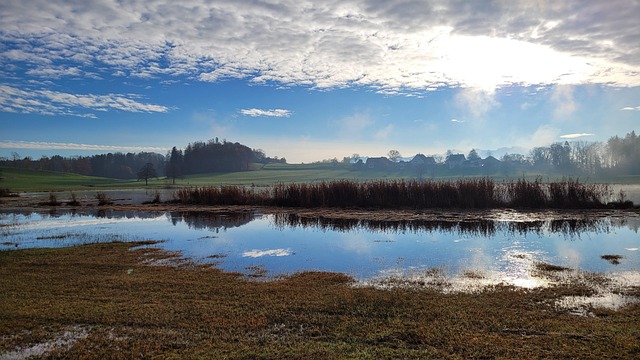 Blau, Wald, Natur, See, Moor, Wolken