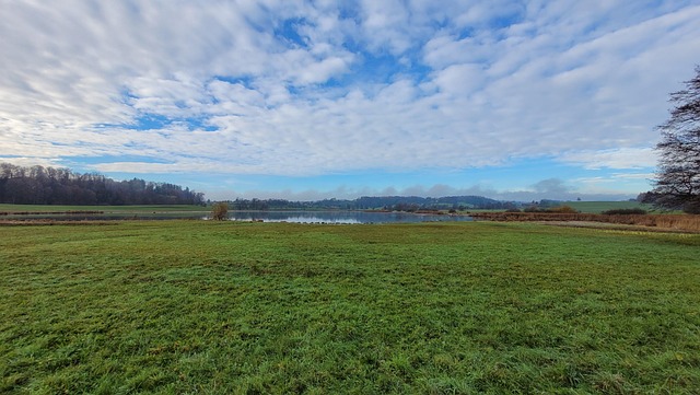 Wiese, See, Wolke, Wald, Blau, Hügel