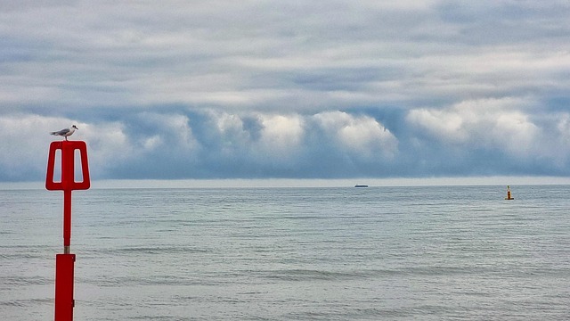 Free Dorset Coast photo and picture