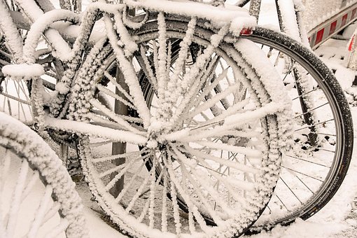 Free Cycles Tire photo and picture