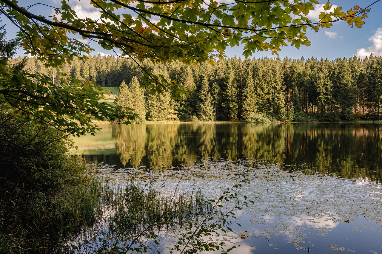 Waldsee Doğa Manzara - Pixabay'de ücretsiz fotoğraf - Pixabay