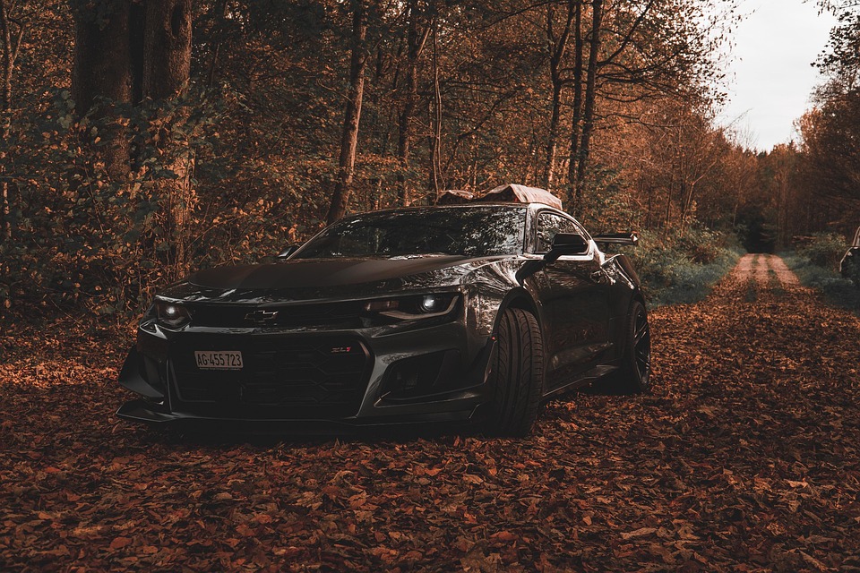 Camaro Race Car Forest - Free photo on Pixabay - Pixabay