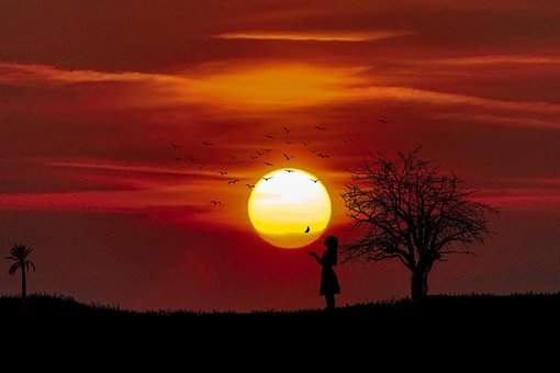 Solnedgang, Sol, Solopgang, Træ, Pige
