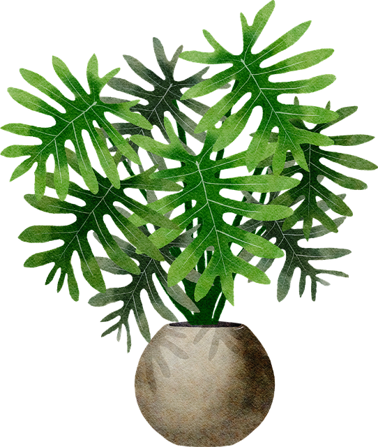 Palmier, Natura, Frunziş, Plantelor