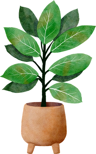 Free plant nature pot illustration