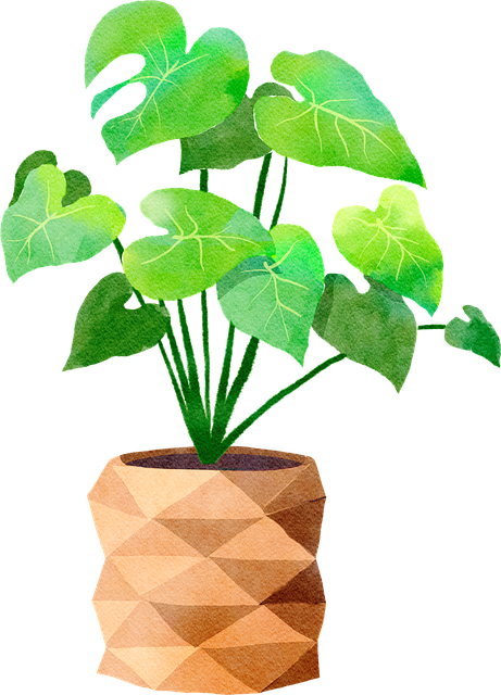 Botanische Geburtstagskarte Mit Farn-Motiv - Hochwertiger Druck, Blanko Innen, Inkl. Umschlag