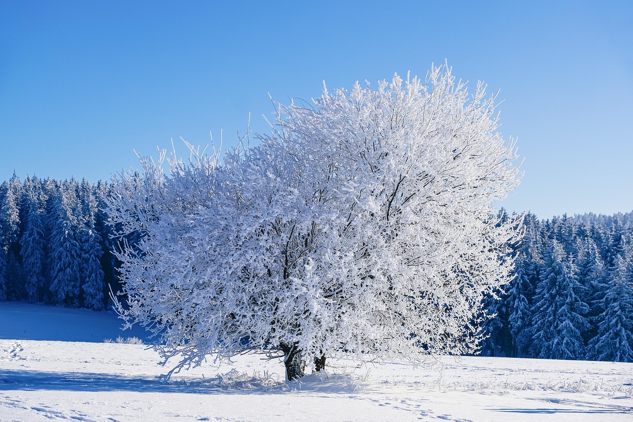 20 000 Free Winter Steden Winter Images Pixabay