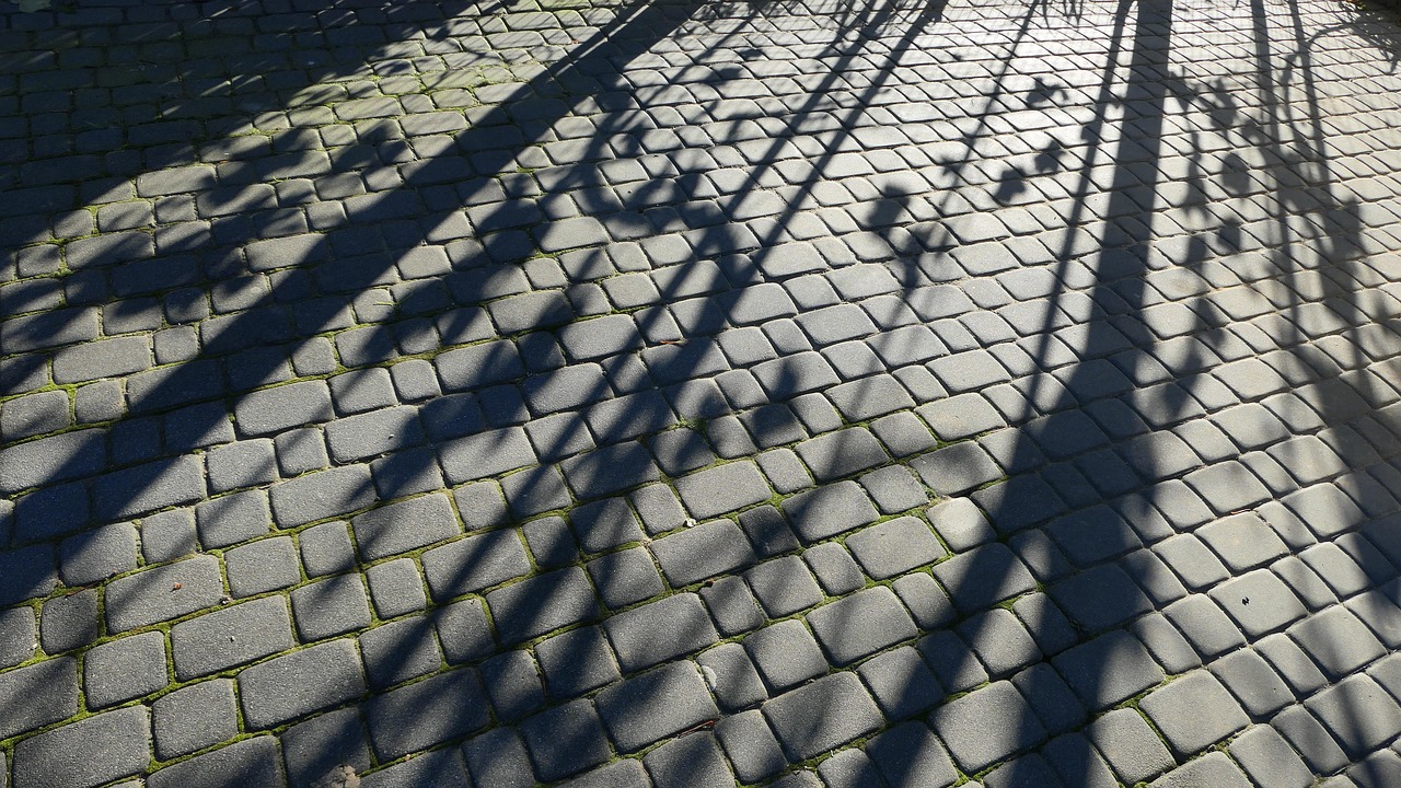 Shadows The Moderator Has - Free photo on Pixabay - Pixabay