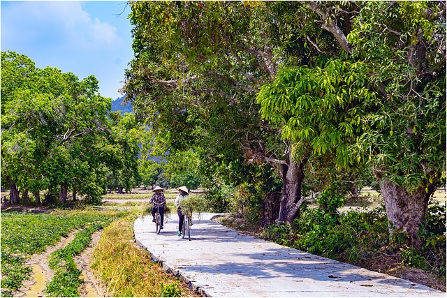 Free Vietnam Landscape photo and picture