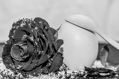 Schwarz Und Weiß, Rose, Blume, Perlen