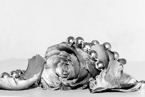 Schwarz Und Weiß, Rose, Blume, Perlen