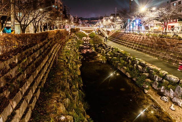Seongbukcheon, Night View, Sti, Aften
