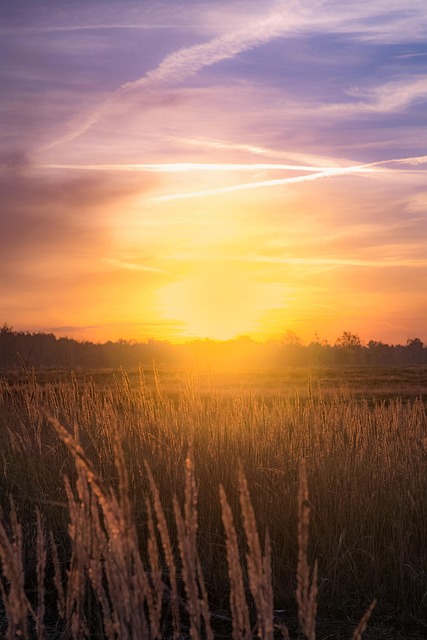 Free Sunset Sunshine photo and picture