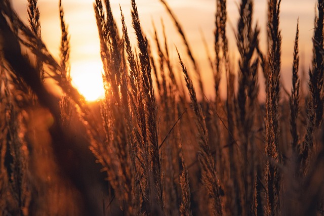 Free Sunset Explore photo and picture