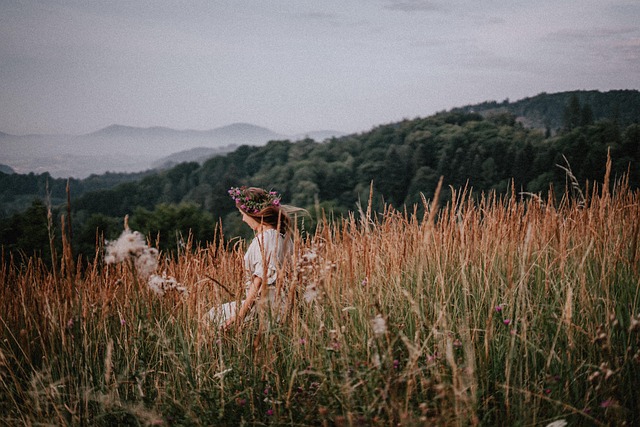Free Summer Landscape photo and picture