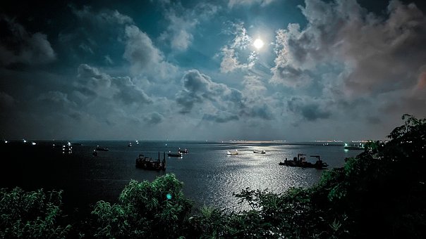 Free Bay The Night Sky photo and picture