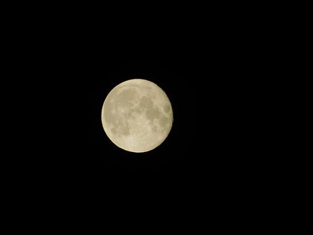 Free Moon Night photo and picture