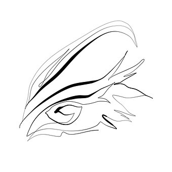 Free Eye Eye Drawing illustration and picture