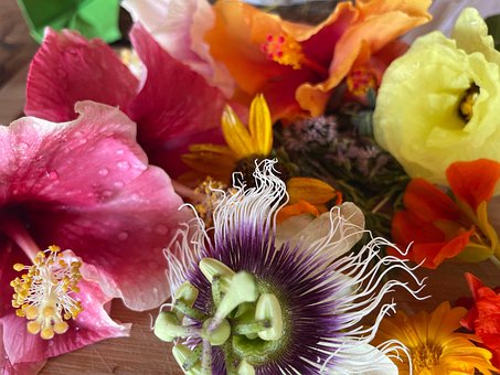 Blomstre, Blomst, Passionsfrugt, Bomuld