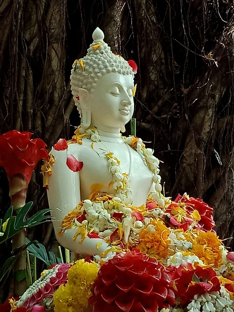 Free Buddhism Buddha photo and picture