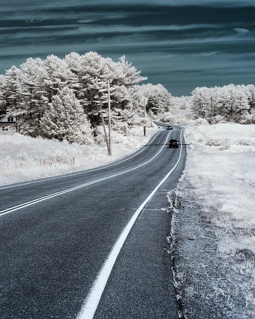 Free Winter Snow photo and picture