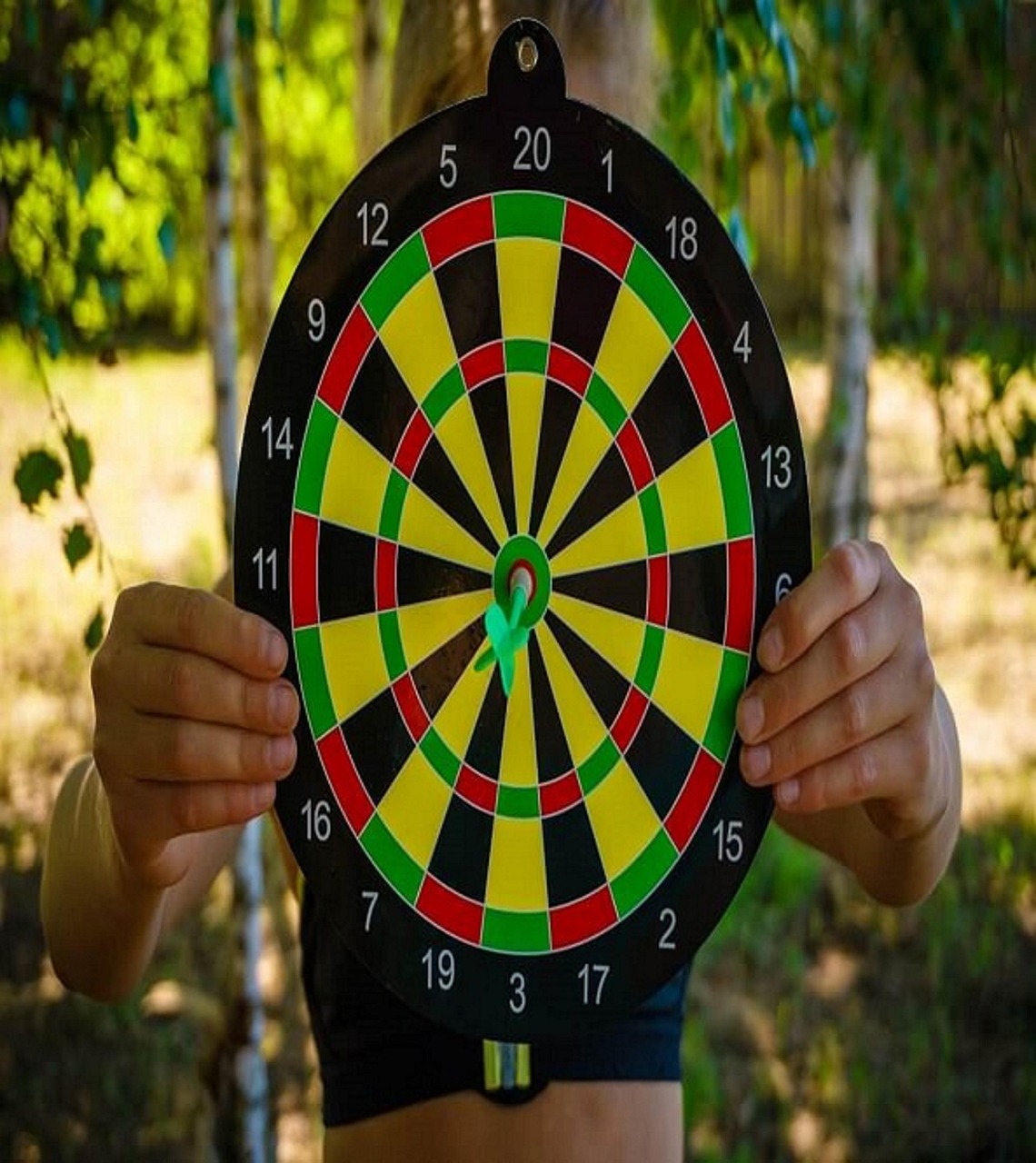 Darts Dartboard Free photo on Pixabay Pixabay