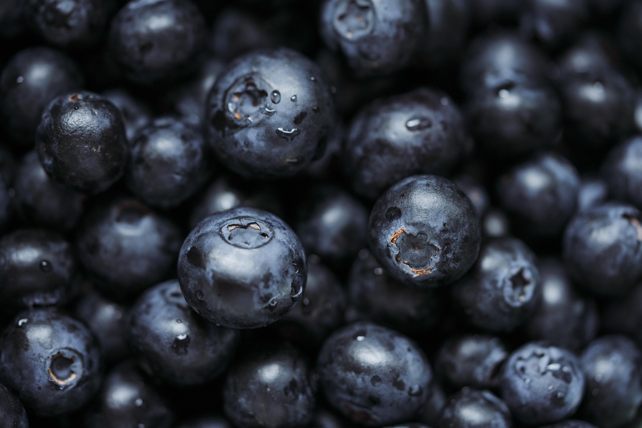 Blueberries Vitamins Superfood Free photo on Pixabay Pixabay